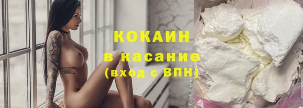 стафф Ельня