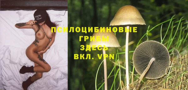ECSTASY Абдулино