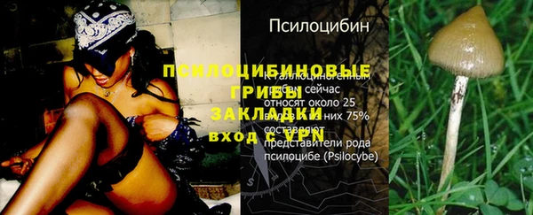 не бодяженный Абаза
