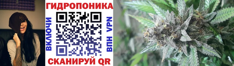 купить наркотики цена  Петров Вал  Канабис семена 